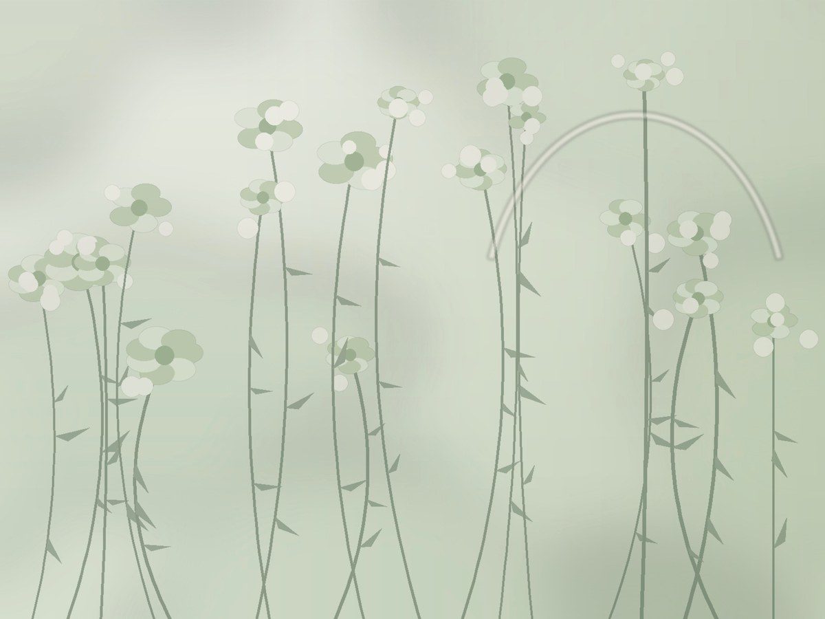 Aster & Vine Floral preview image